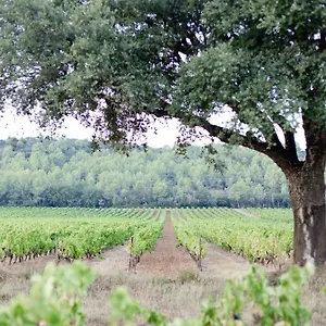 https://domaine-de-sigalous.fr-provencehotel.com